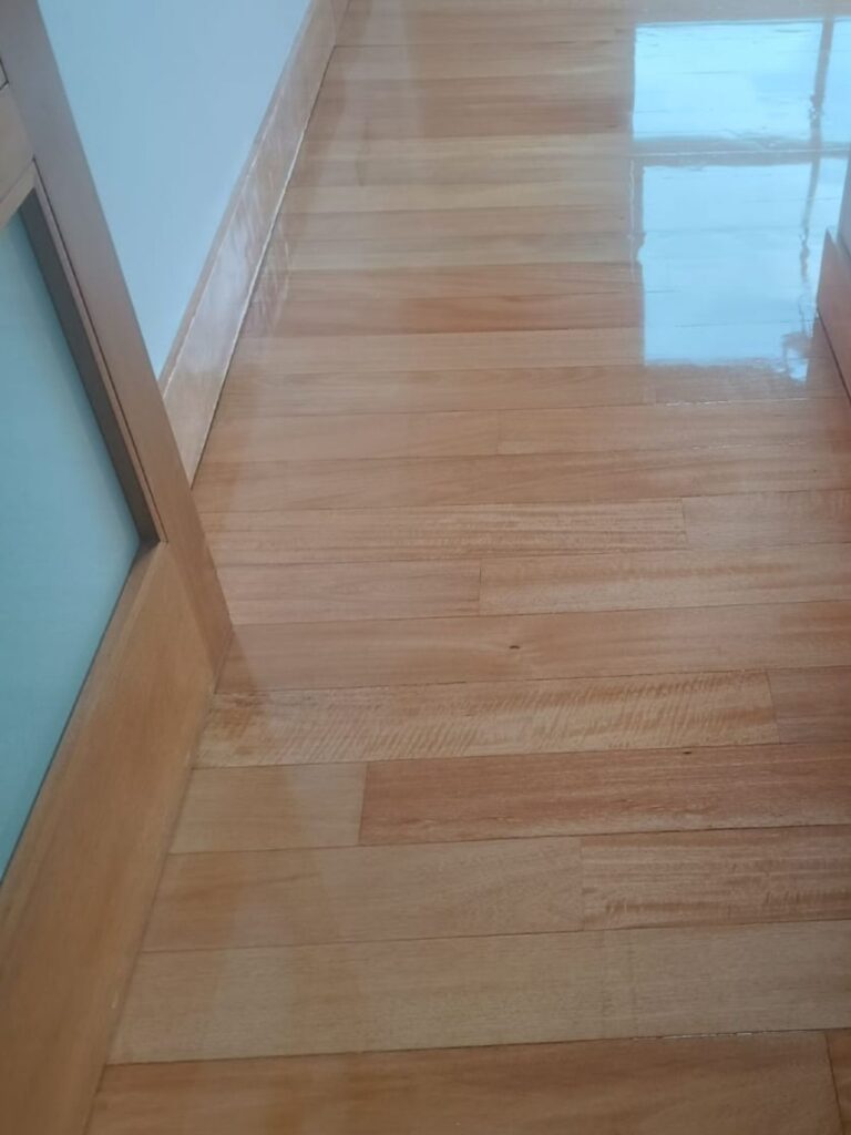 diseño sin título (15)